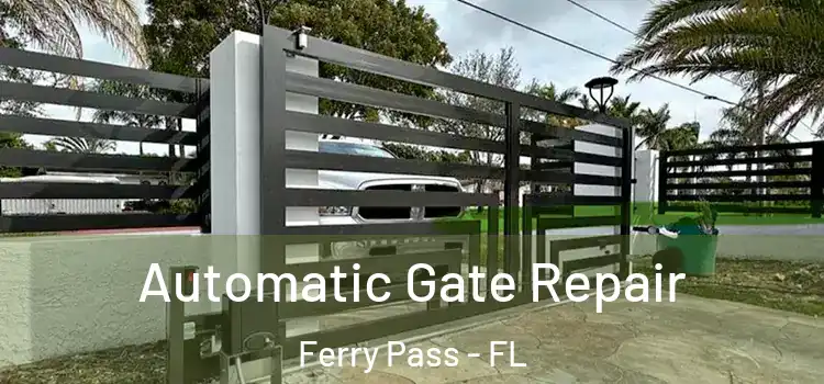 Automatic Gate Repair Ferry Pass - FL
