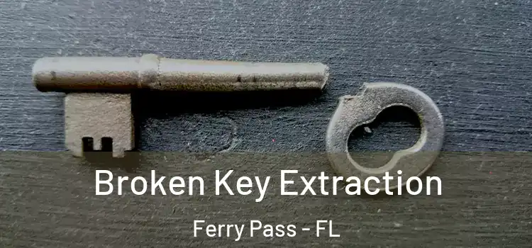 Broken Key Extraction Ferry Pass - FL