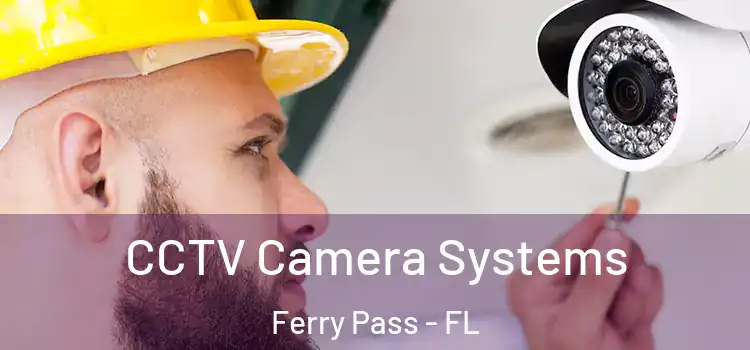 CCTV Camera Systems Ferry Pass - FL