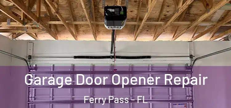  Garage Door Opener Repair Ferry Pass - FL