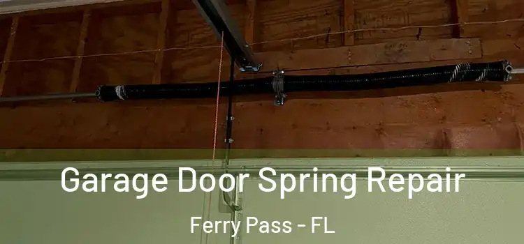  Garage Door Spring Repair Ferry Pass - FL