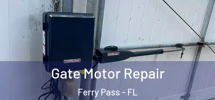 Gate Motor Repair Ferry Pass - FL
