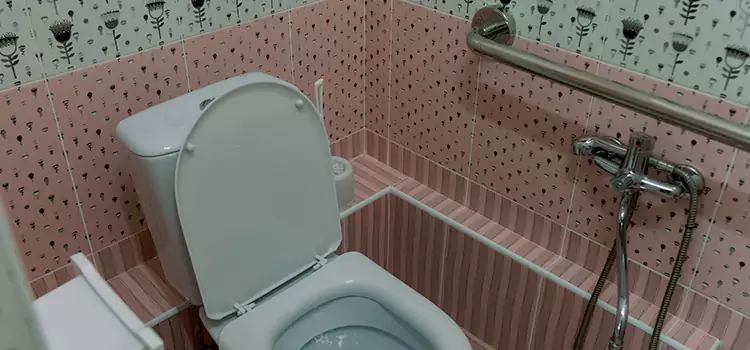 Meeting Diverse Needs With Accessible Restroom Solutions in Ferry Pass, FL