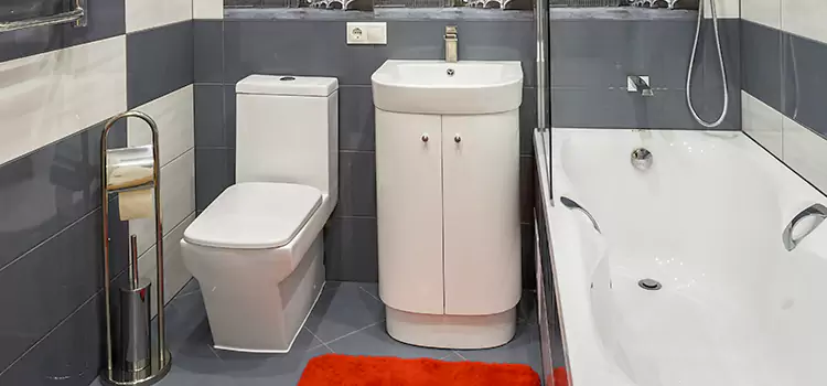 Hansgrohe Shaving Mirror Ferry Pass