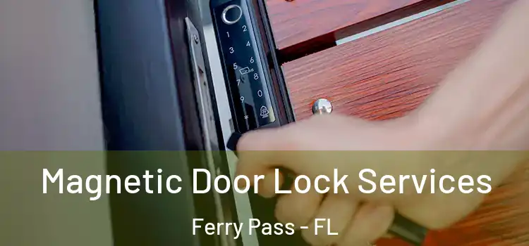 Magnetic Door Lock Services Ferry Pass - FL