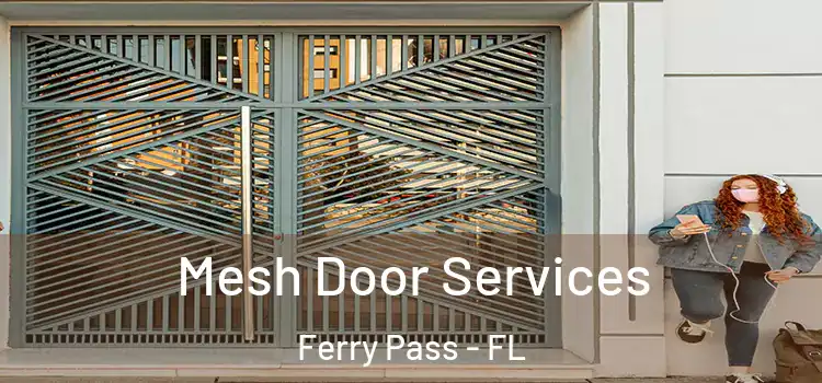 Mesh Door Services Ferry Pass - FL