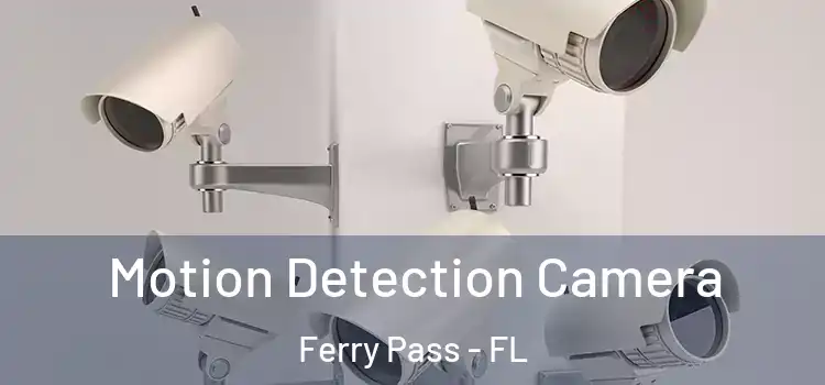  Motion Detection Camera Ferry Pass - FL